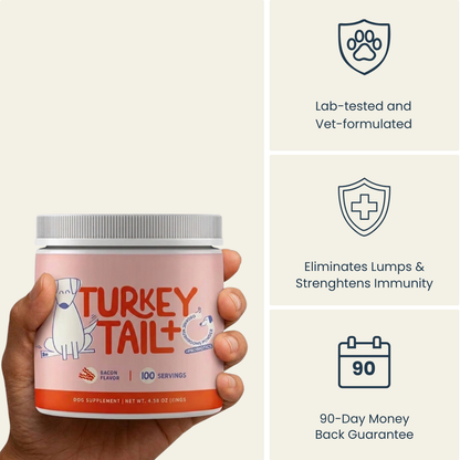 Turkey's tail